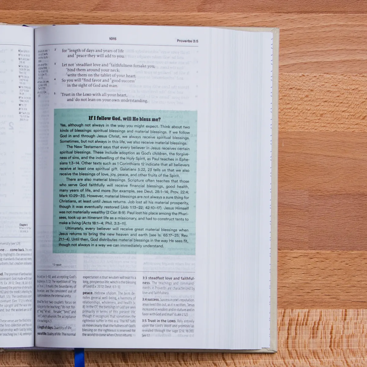 Anglais, Bible ESV, Reformation Study Bible - brochée, grise