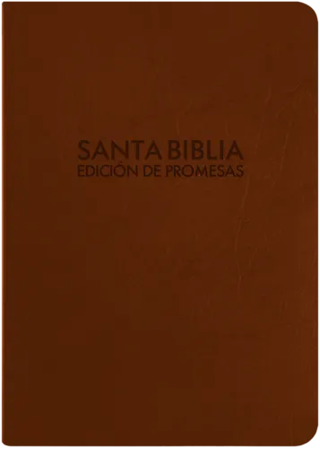 Espagnol, Bible RV 1960, similicuir, café, tranche or, fermeture éclair, onglets - "Biblia de...