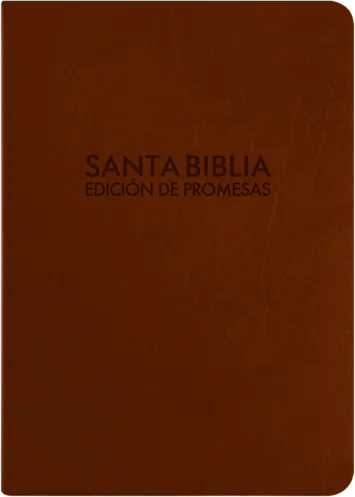 Espagnol, Bible RV 1960, similicuir, café, tranche or, fermeture éclair, onglets - "Biblia de...