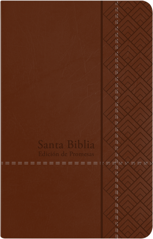 Espagnol, Bible RV 1960, Edición de Promesas, café, letra gigante, palabras de Jesús en rojo -...