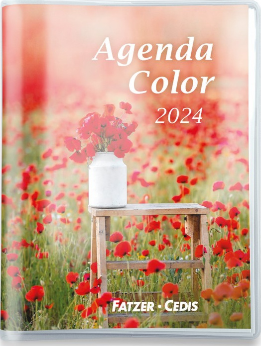 Agenda semainier : La France des villages (édition 2024) - Collectif -  Millesima - Papeterie / Coloriage - Librairie Passages LYON