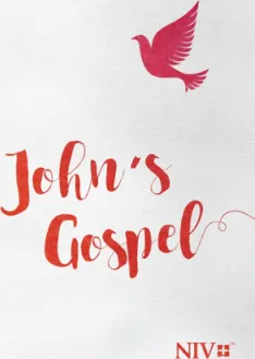Anglais, Évangile de Jean NIV - John's Gospel