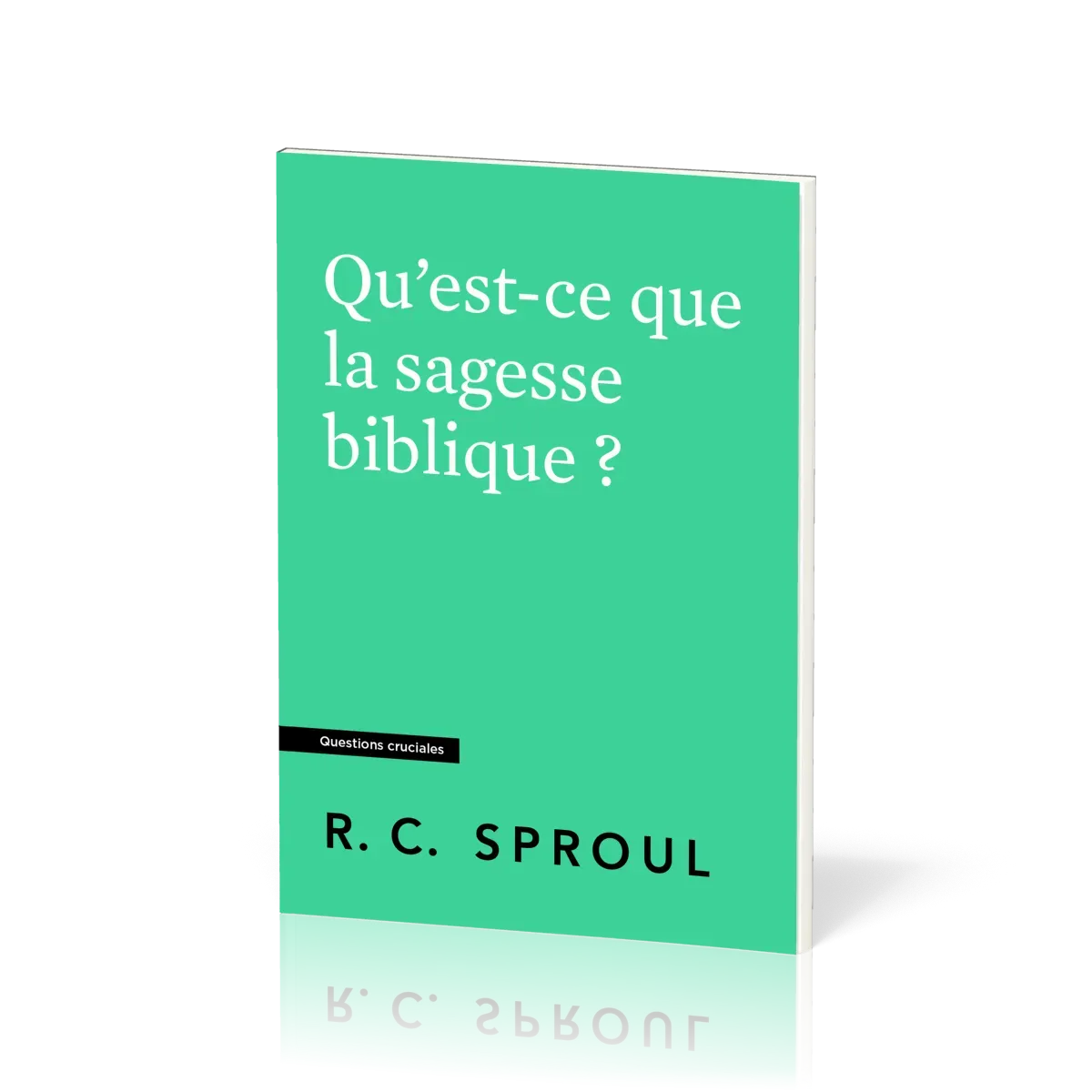 Qu'est-ce que la sagesse biblique ? - [Questions cruciales]