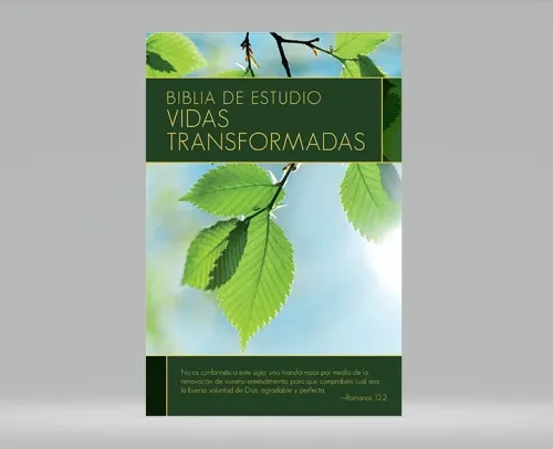 Espagnol, Bible d'étude Reina Valera 1960, cartonnée,