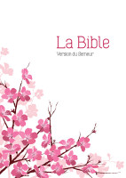 Bible Semeur 2015 compacte, couverture rigide amandier, tranche blanche