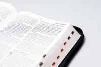 Espagnol, Bible, Reina Valera 1960, très grands caractères, noire, fermeture éclair et onglets