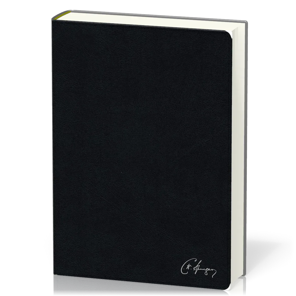 Espagnol, Bible d'étude Spurgeon Reina Valera 1960, cuir, noire