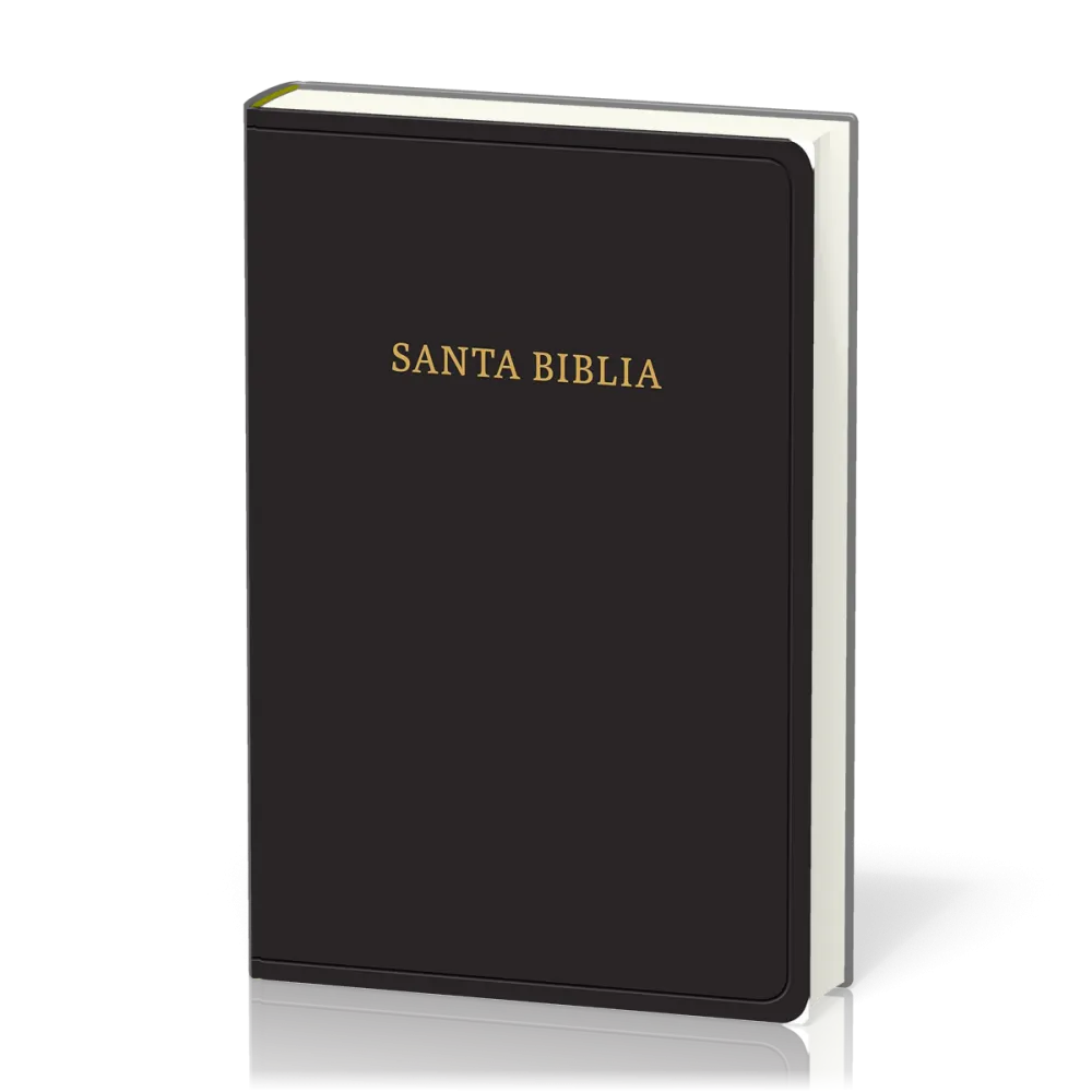 Espagnol, Bible, Reina Valera 1960, grands caractères, fibrocuir, noire