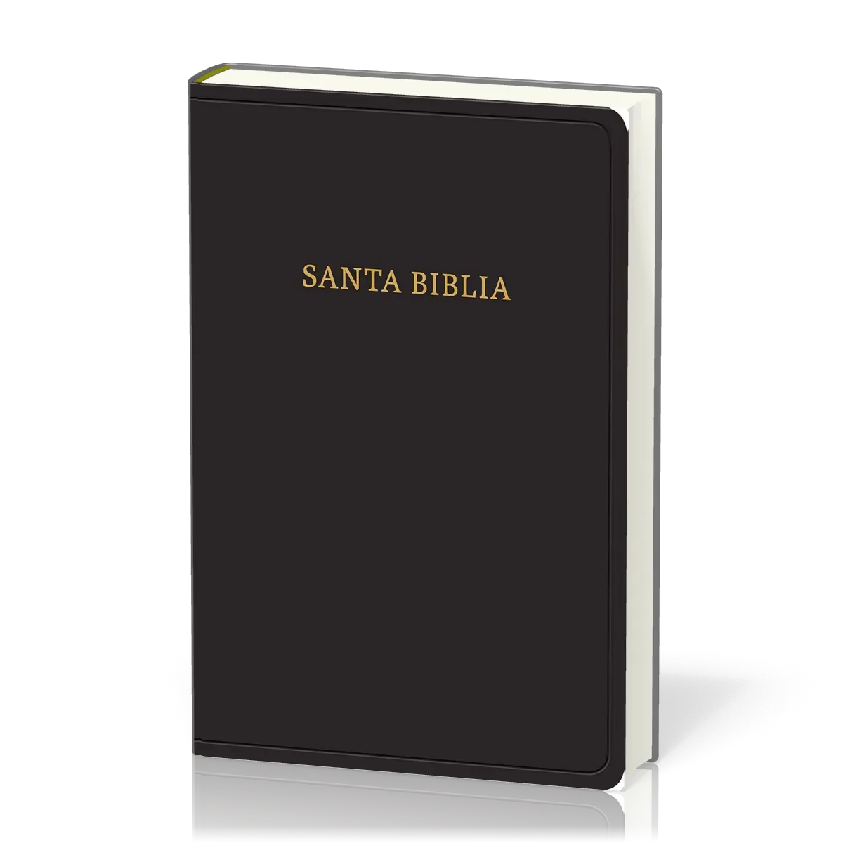 Espagnol, Bible, Reina Valera 1960, grands caractères, fibrocuir, noire