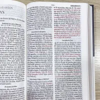 Espagnol, Bible Reina Valeira 1960 gros caractères, souple, couverture colorée