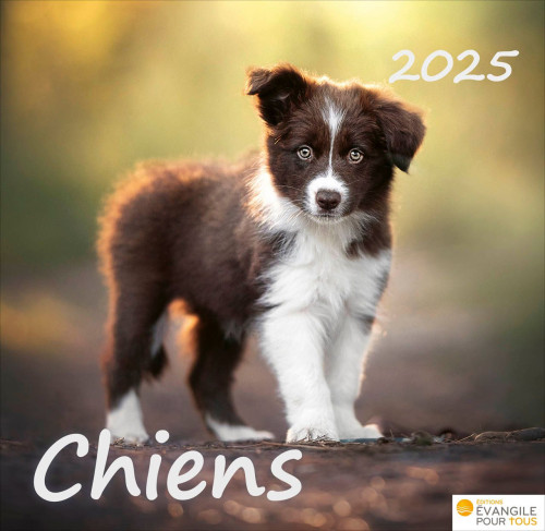 Chiens, Merveilles de la création - Calendrier de table