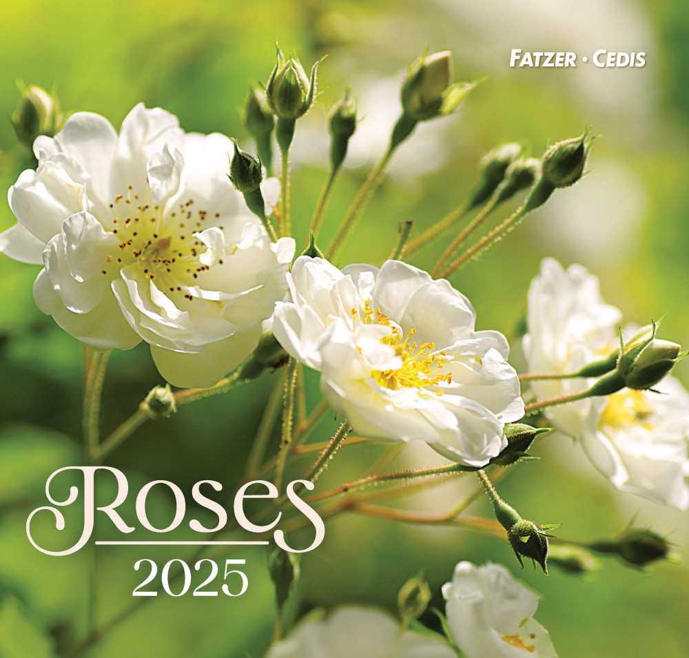 Roses, Grand format - Grand calendrier avec 12 belles photos de roses