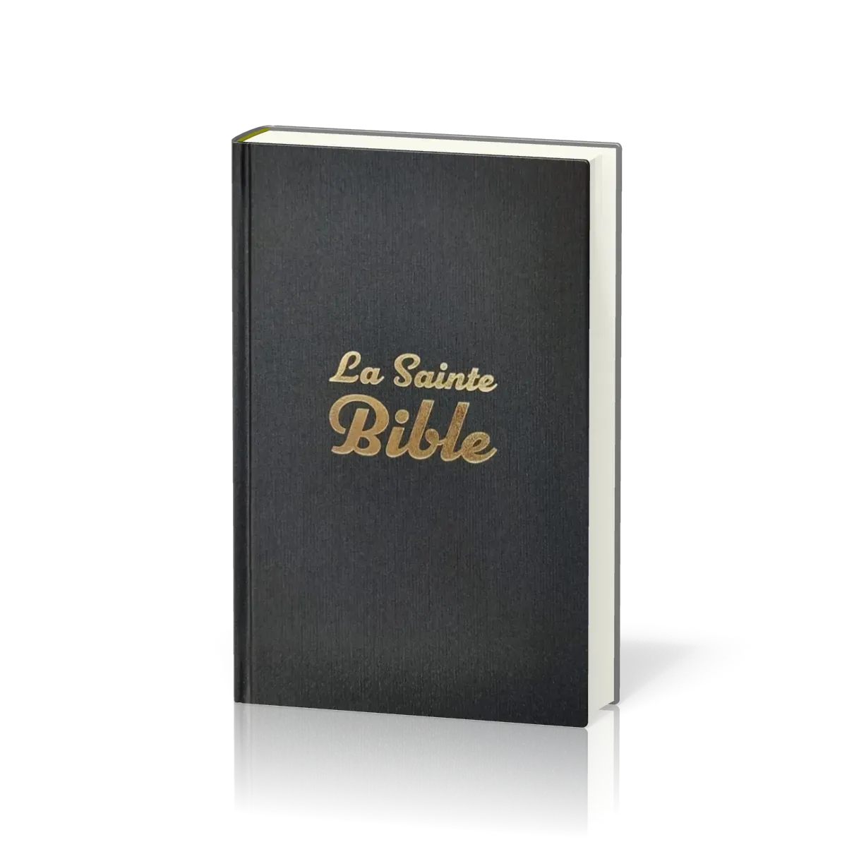 Bible Segond 1910, compacte éco - rigide gris anthracite
