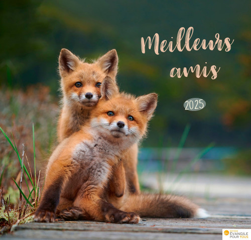 Meilleurs amis - Calendrier grand format