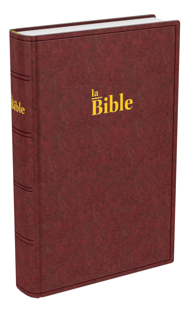 Bible Darby, format compact, brune - couverture rigide