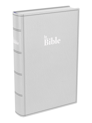 Bible Darby, format compact, grise - couverture souple