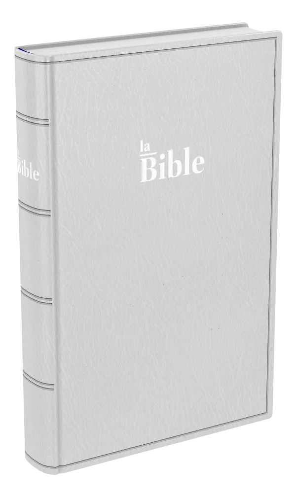 Bible Darby, format standard, gris - couverture souple
