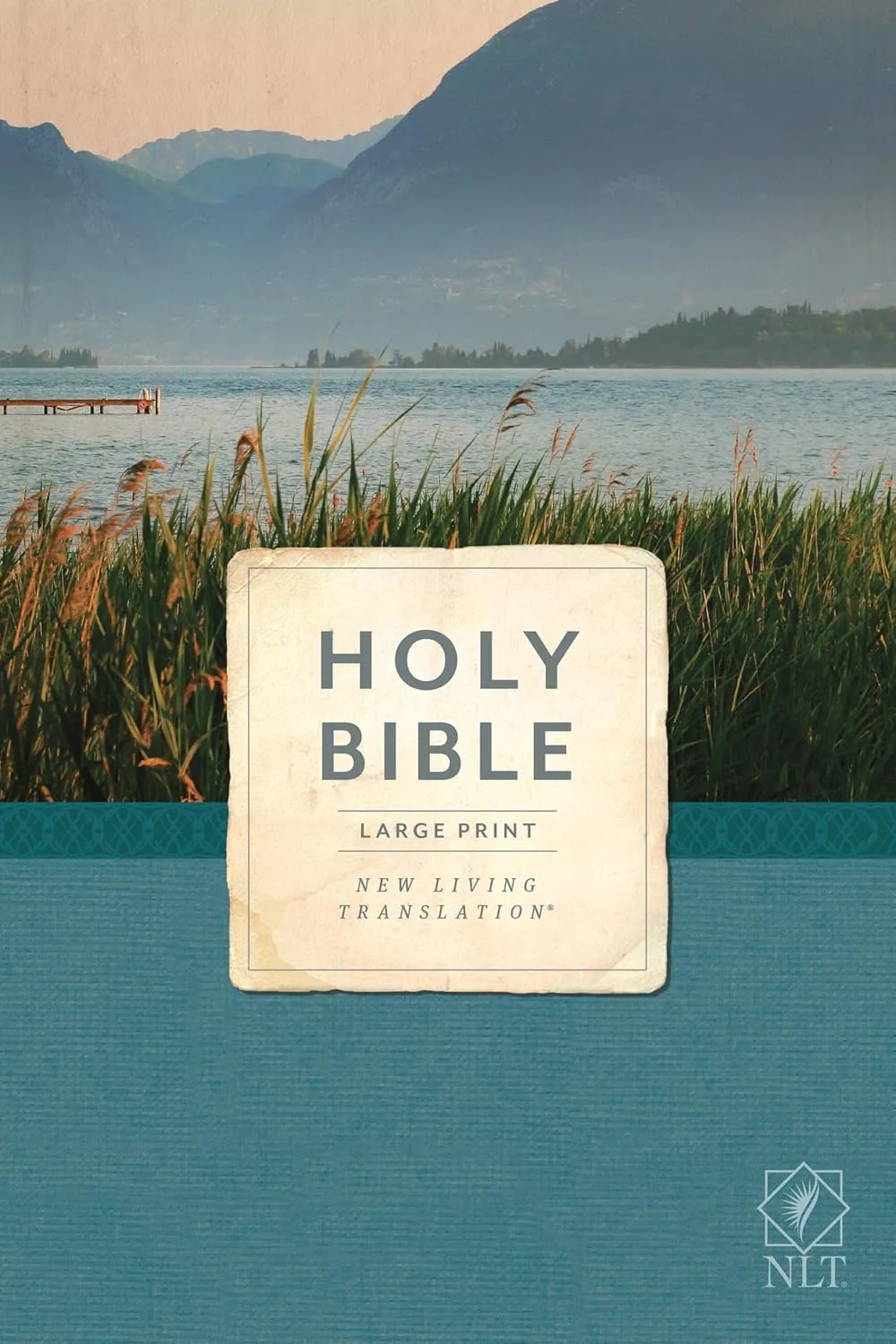 Anglais, Bible, NLT, gros caractères, brochée souple - Holy Bible, Economy Outreach Edition,...