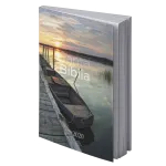 BIBLIA RV2020. RUSTICA MISIONERA BARCA