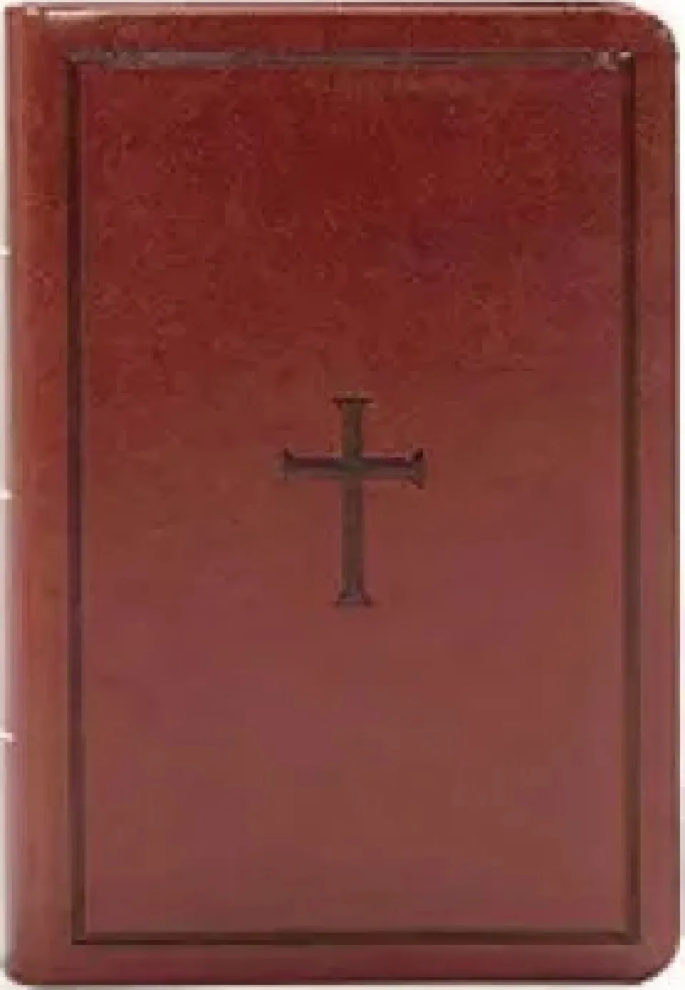 Espagnol, Bible, Nueva Version internacional, gros caractères, couverture souple - letra grande, NVI