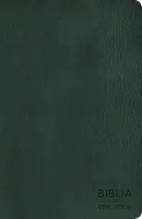 Espagnol, Bible, NVI, Biblia del Pescador, similicuir, vert, tranche argentée, gros caractères