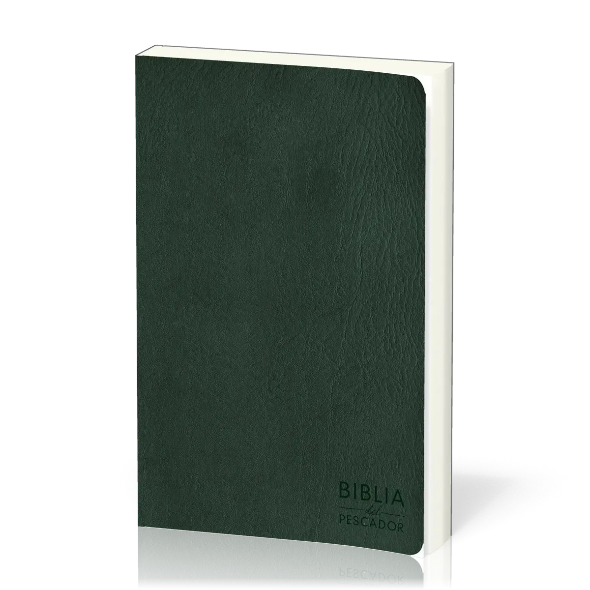 Espagnol, Bible, NVI, Biblia del Pescador, similicuir, vert, tranche argentée, gros caractères