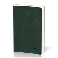 Espagnol, Bible, NVI, Biblia del Pescador, similicuir, vert, tranche argentée, gros caractères