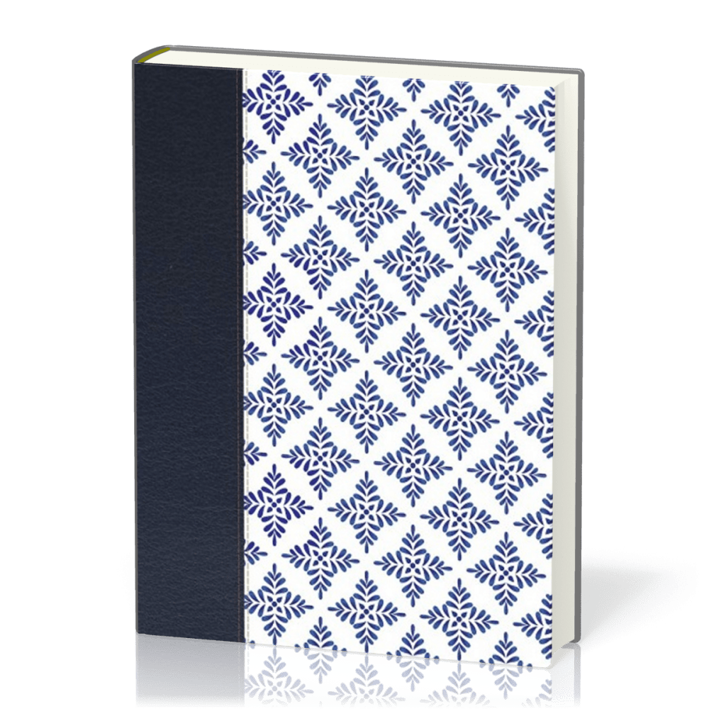 Espagnol, Bible journal de bord Nueva Versión Internactional, gros caractères, similicuir,...