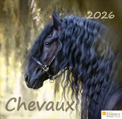 Chevaux, Merveilles de la création - Calendrier de table
