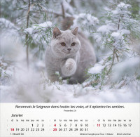 Chats, Merveilles de la création - Calendrier de table