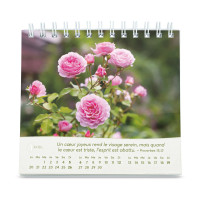 Roses - Petit calendrier avec 12 magnifiques photos de roses