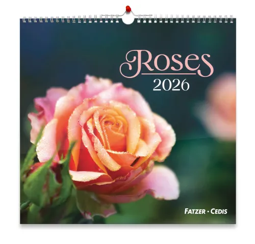 Roses, Grand format - Grand calendrier avec 12 belles photos de roses