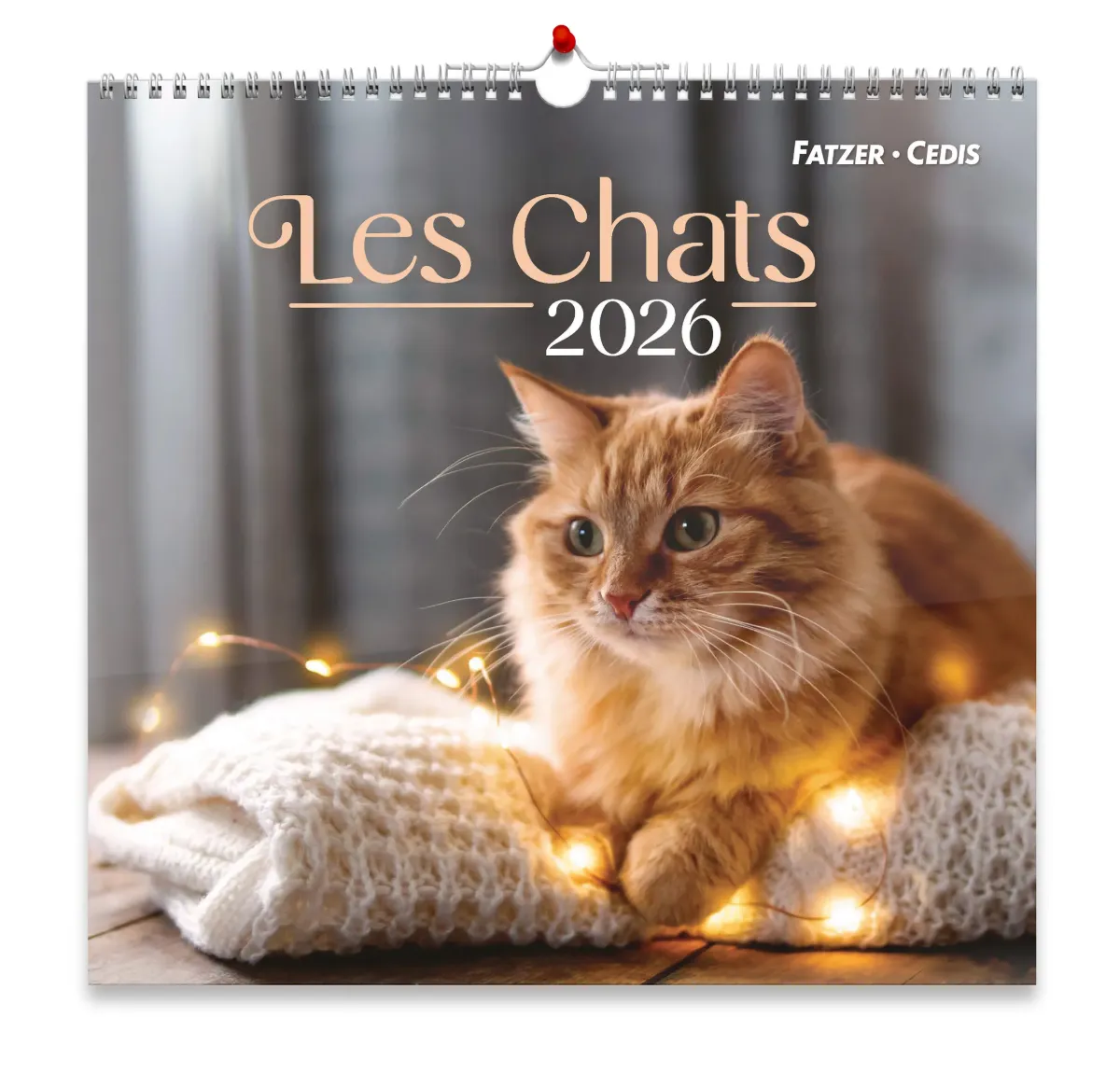 Nos amis les Chats, grand format - Grand calendrier avec 12 belles photos de chats