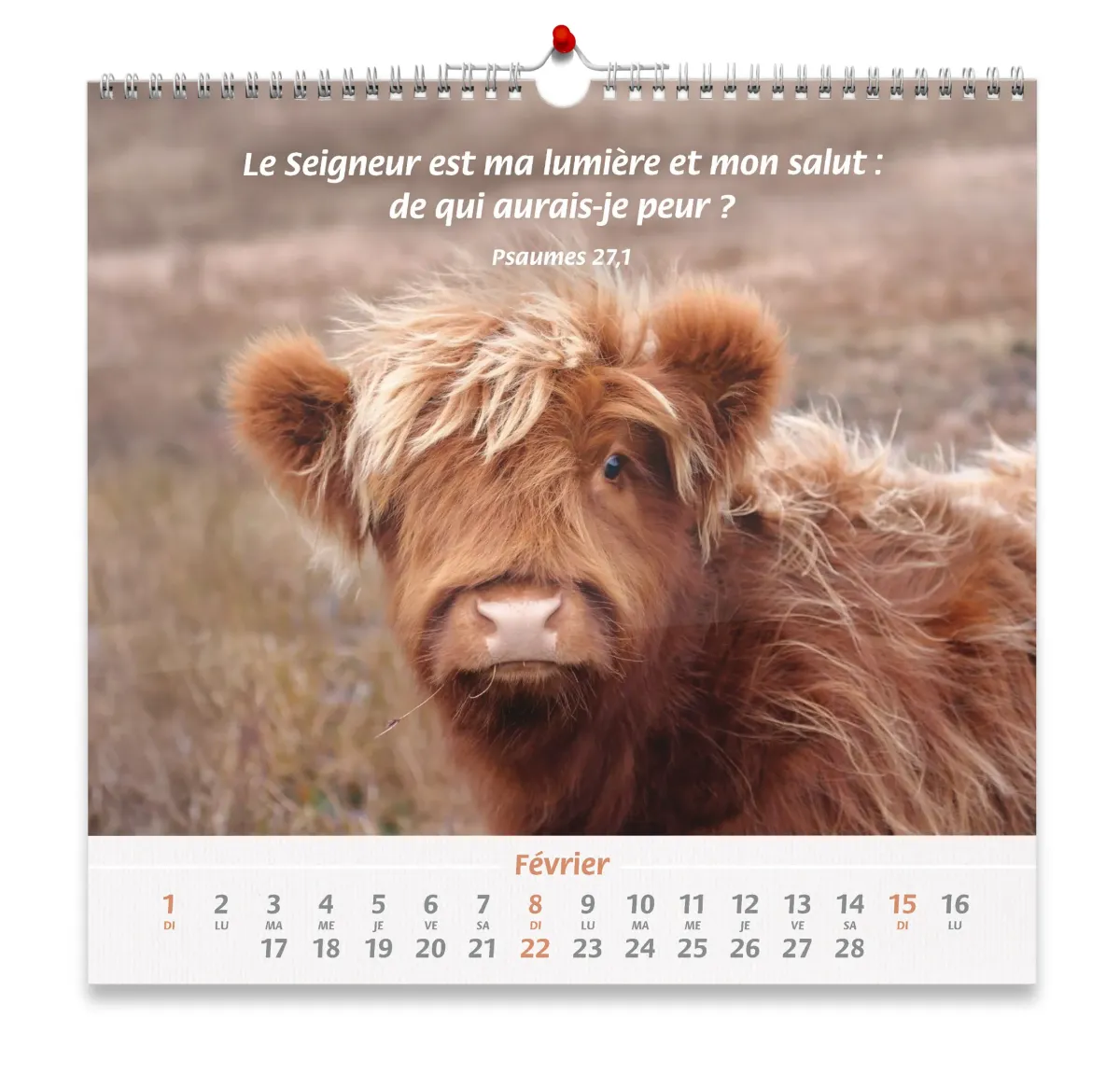 Nos amis les animaux - Calendrier