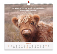 Nos amis les animaux - Calendrier