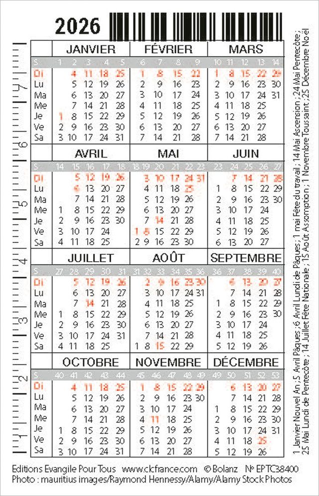 Calendrier format carte de crédit - Motif Oiseau (Galates 5.1)