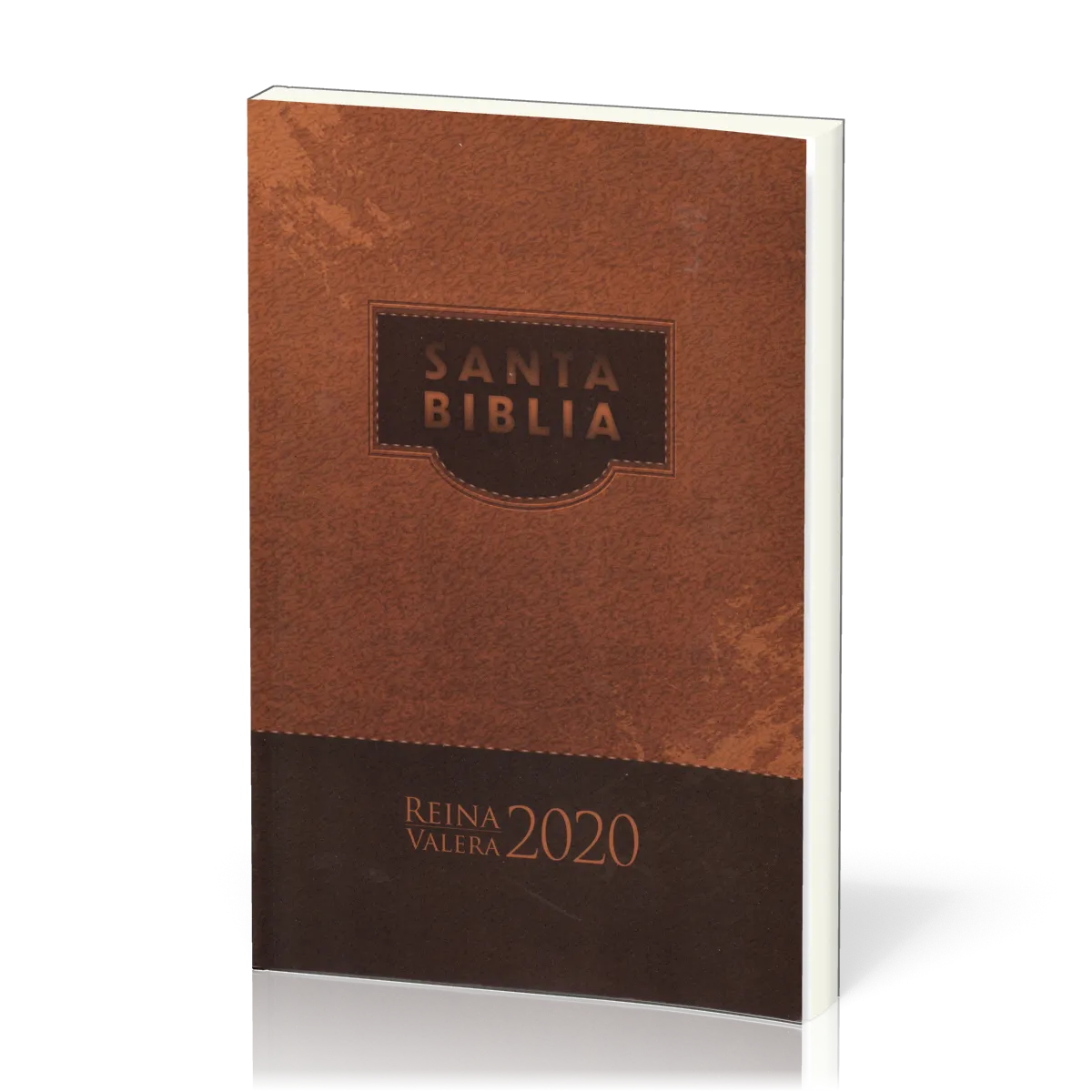 Espagnol, Bible RVR2020, brochée, marron - rústica marrón misionera 070