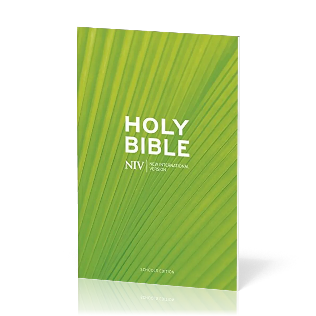 Anglais, Bible NIV, School's Edition - cartonnée