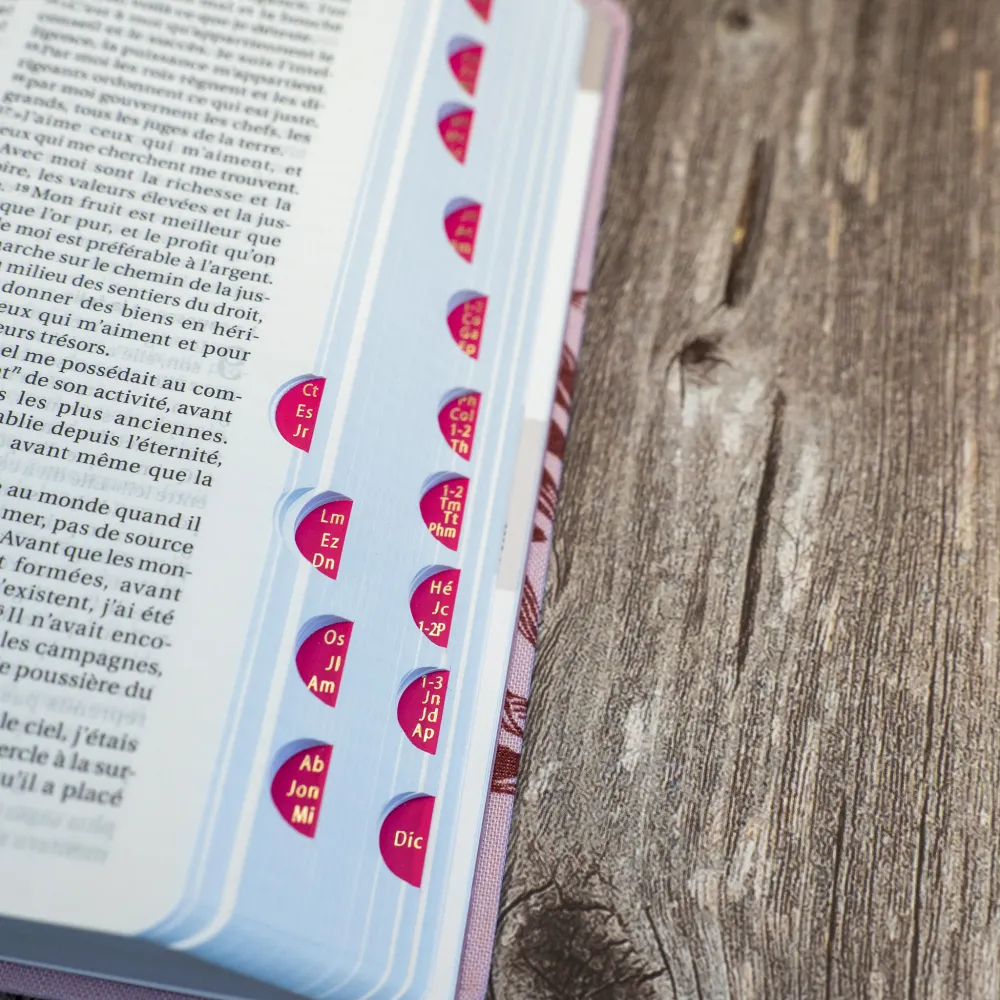 Bible Segond 21 compacte (Premium Style) - couverture souple, toile rose avec paillettes et onglets