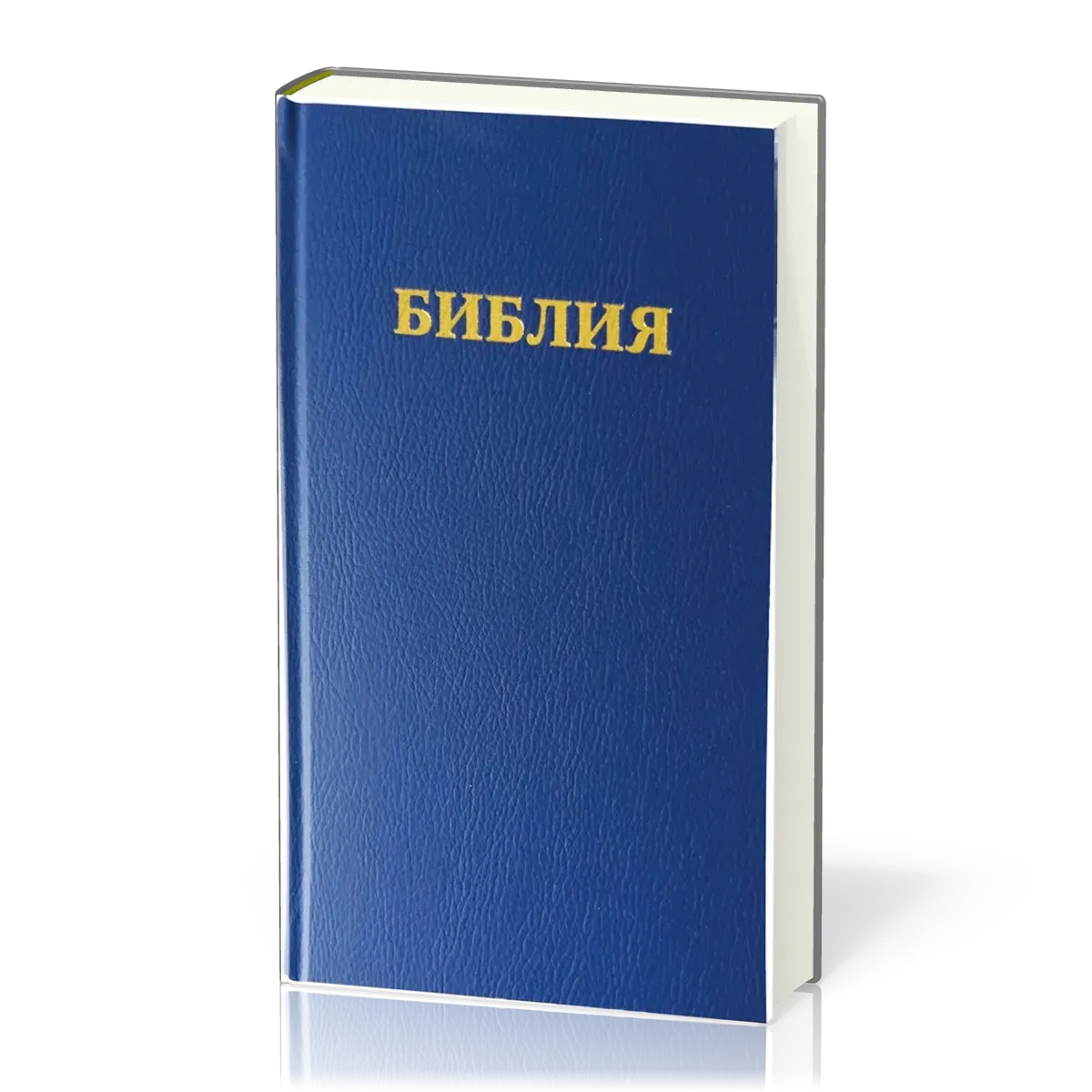 Russe, Bible - révisée, bleue, rigide, similicuir