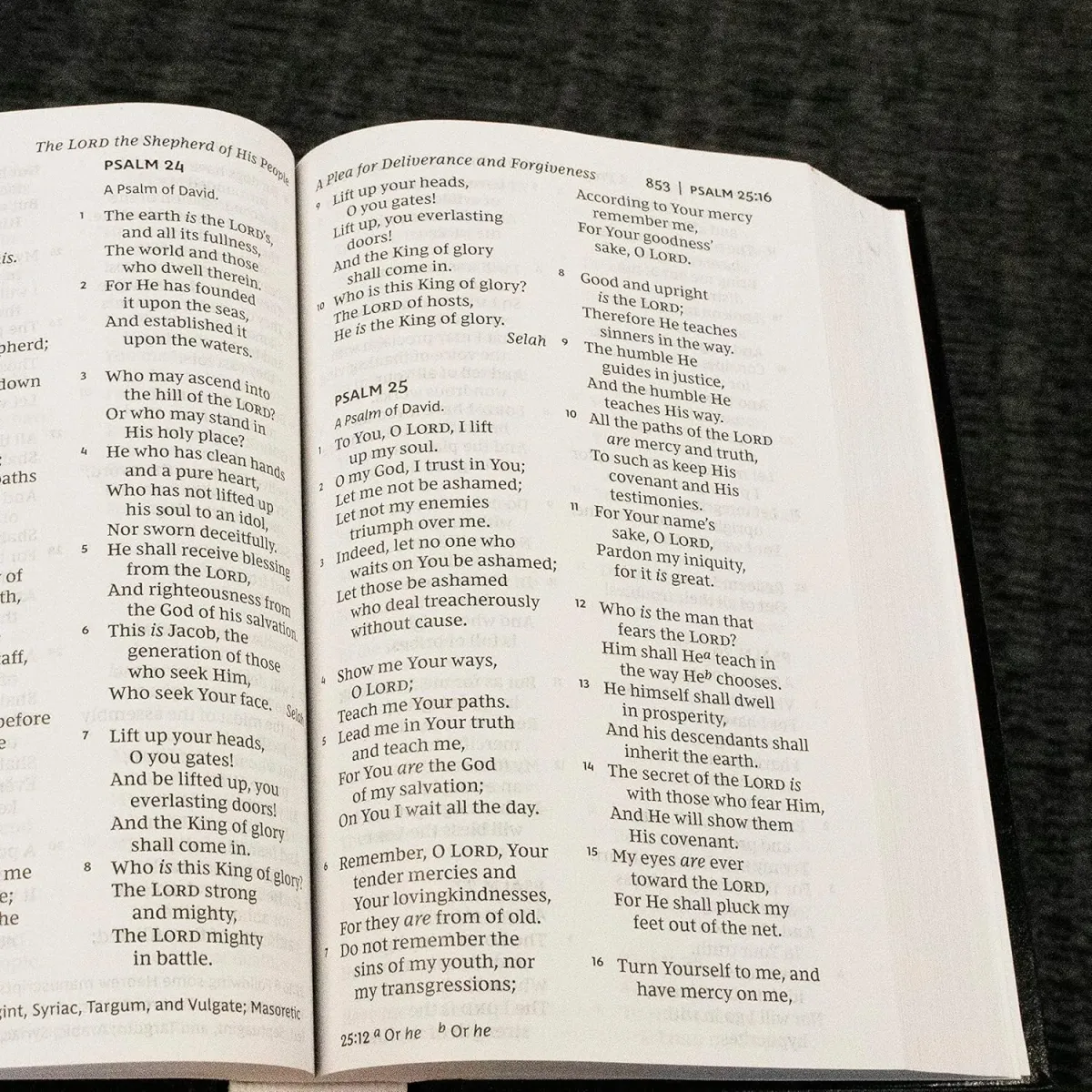 Anglais, Bible, New King James Version, gros caractères, bordeaux
