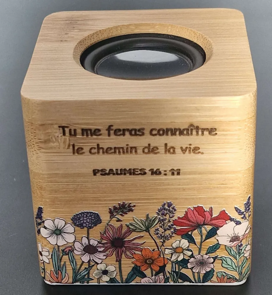 Mini-enceinte Bluetooth - Psaumes 16.11