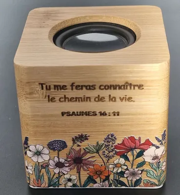 Mini-enceinte Bluetooth - Psaumes 16.11
