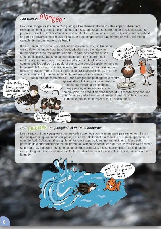 Bible et Science Junior, No 6 'La foi, un obstacle à la science ?' - Dès 11 ans