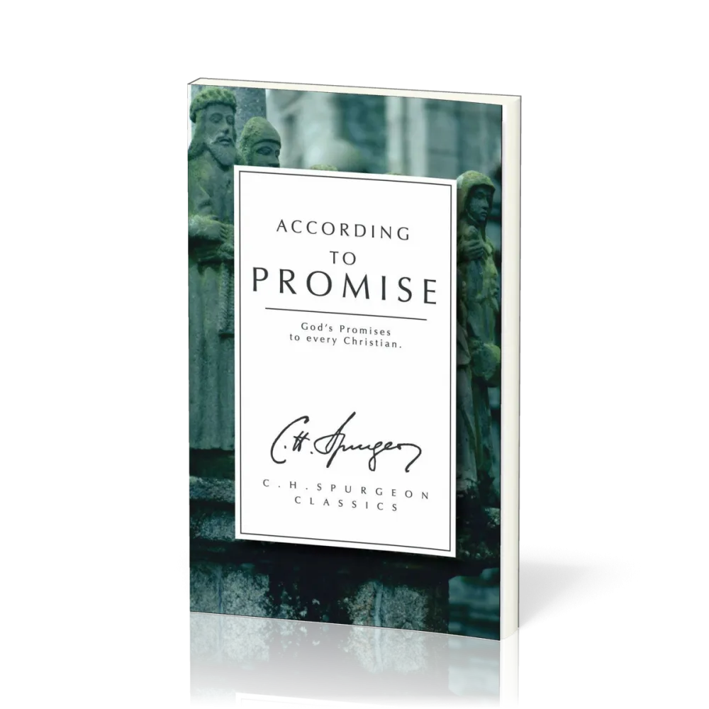 According to Promise - God's Promises to Every Christian