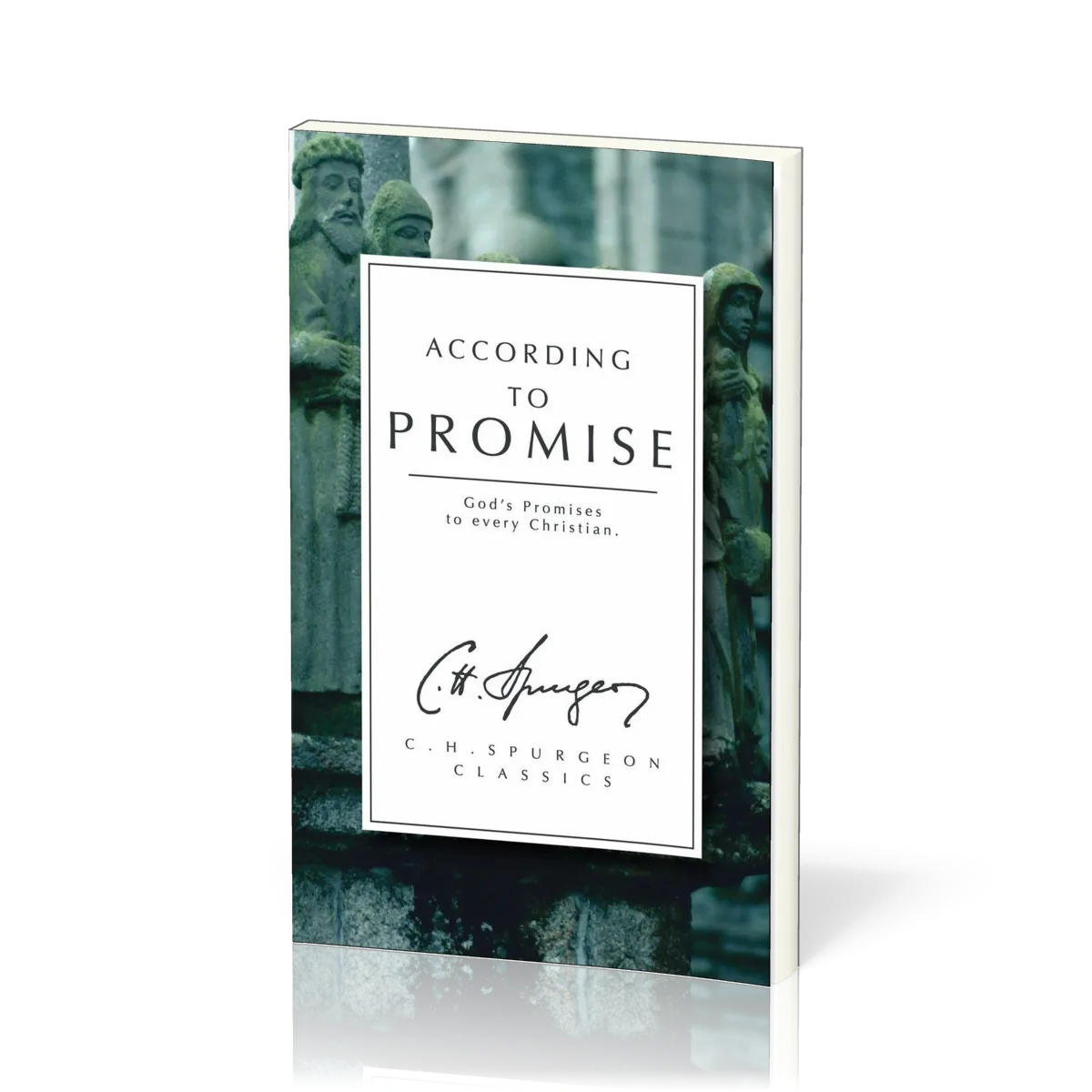 According to Promise - God's Promises to Every Christian
