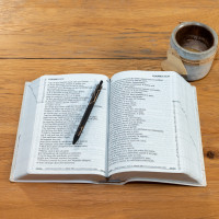 Bible Segond 21, gros caractères - couverture souple en toile blanche