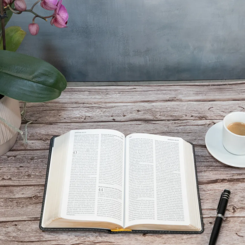 Bible Segond 21 compacte (Premium Style) - couverture souple, cuir anthracite, avec tranches dorées