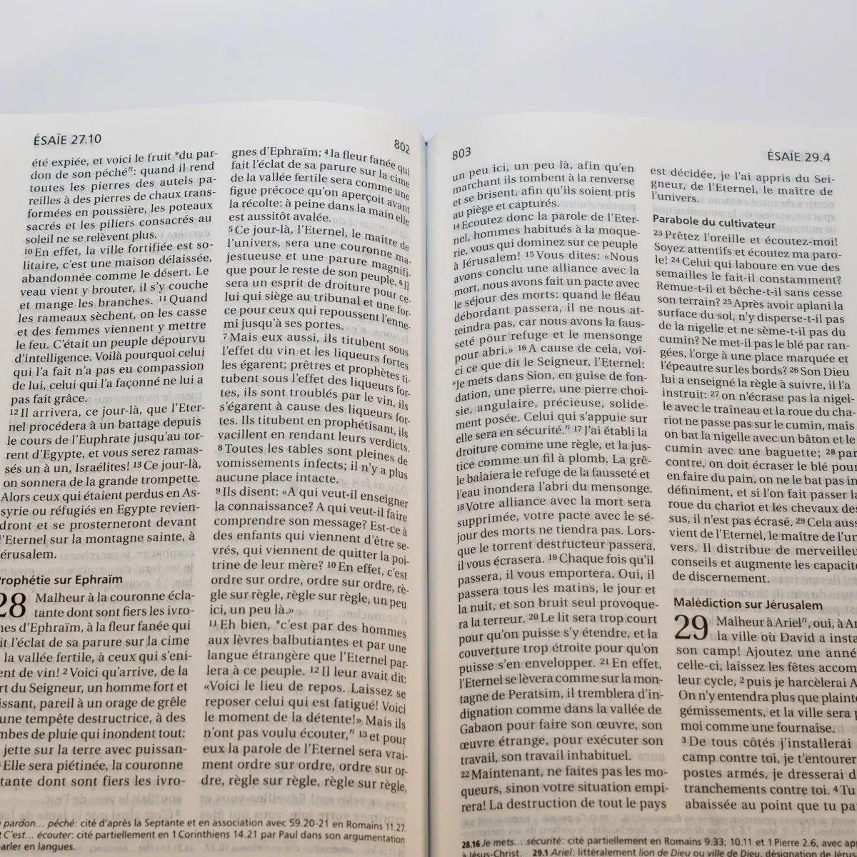 Bible Segond 21 compacte (Premium Style) - couverture semi-rigide duo cuir praliné-chocolat, avec...