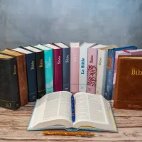 Bible Segond 21 compacte (Premium Style) - couverture semi-rigide duo cuir praliné-chocolat, avec...